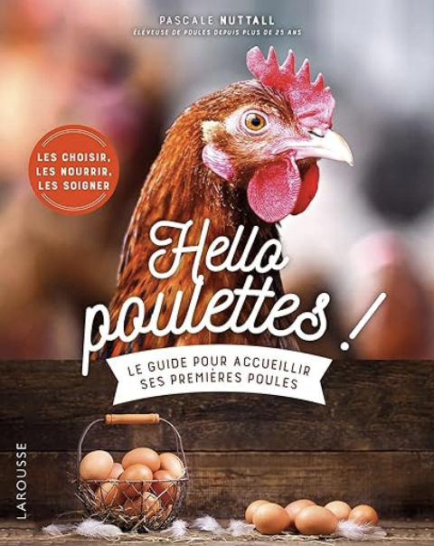 Le guide pour accueillir ses premières poules