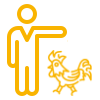 origine belgique
